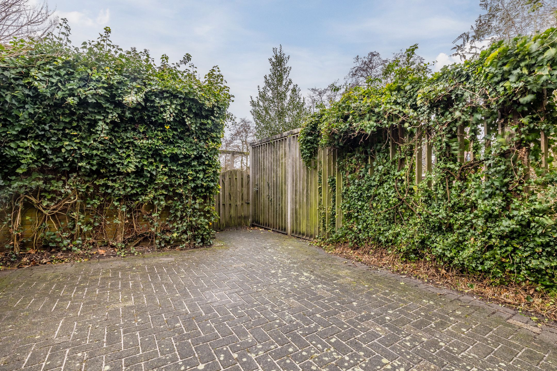 Foto 24 van Grasland 62