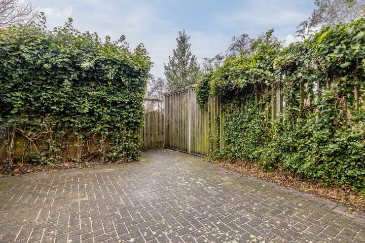 Foto 24 van Grasland 62