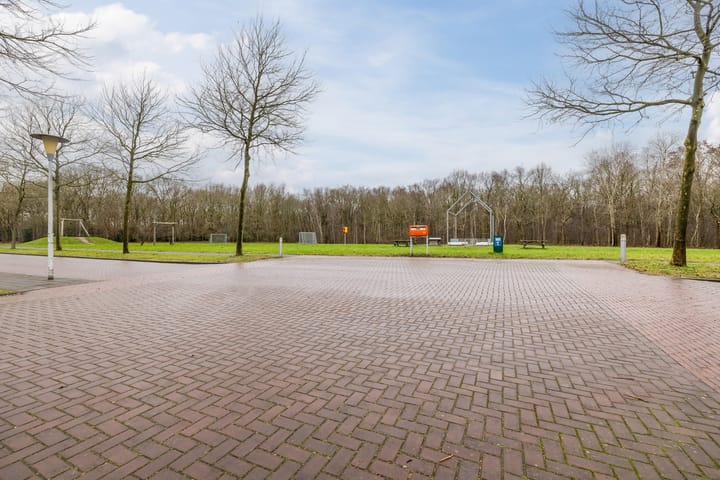 Foto 28 van Grasland 62