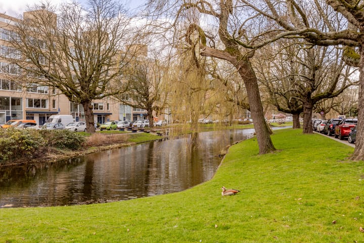 Foto 5 van Bergweg 282-C