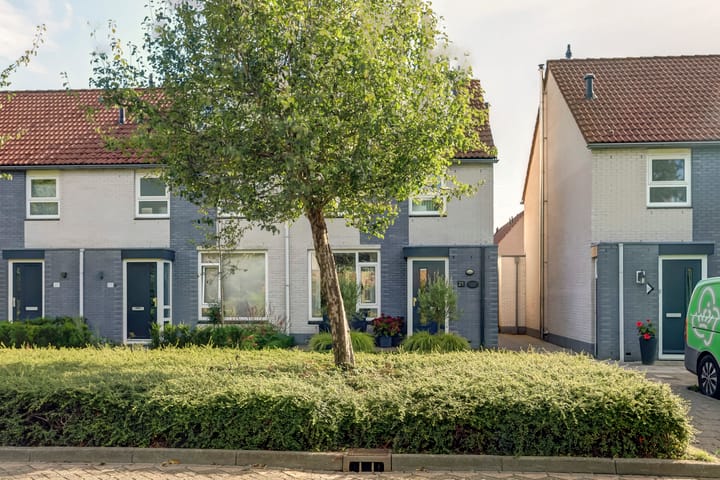 Foto 5 van Groenling 25