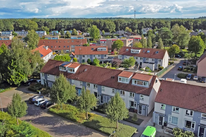 Foto 36 van Groenling 25