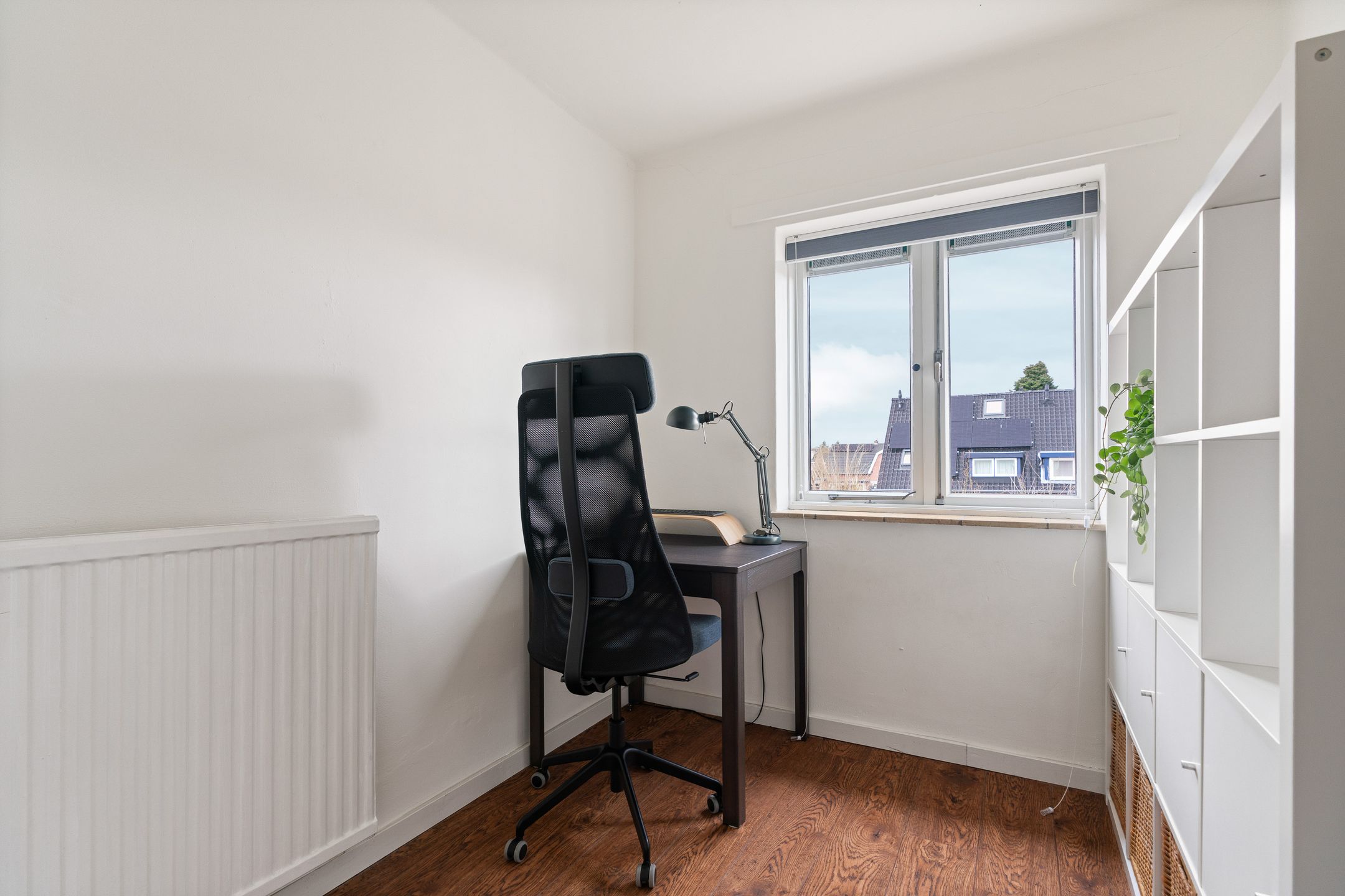 Foto 18 van Treubstraat 16