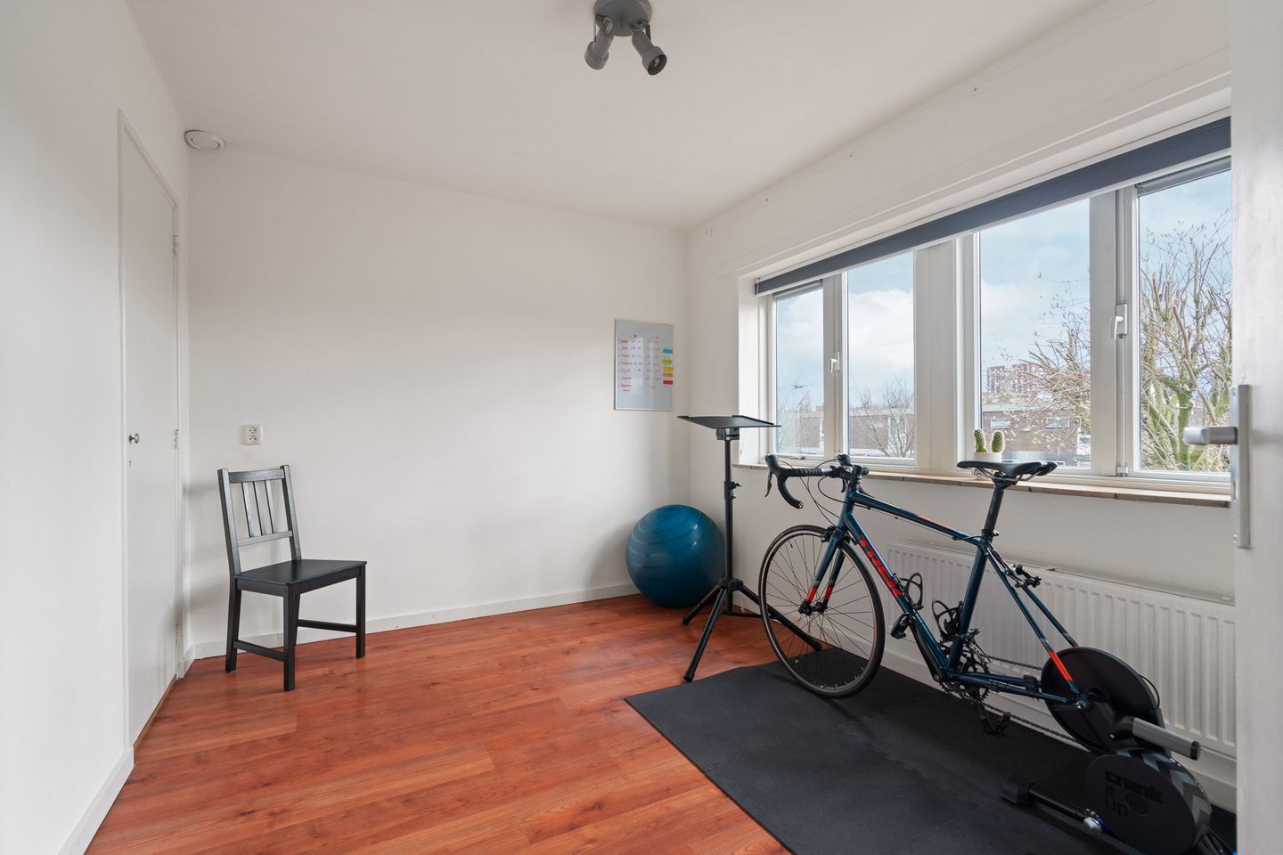 Foto 19 van Treubstraat 16