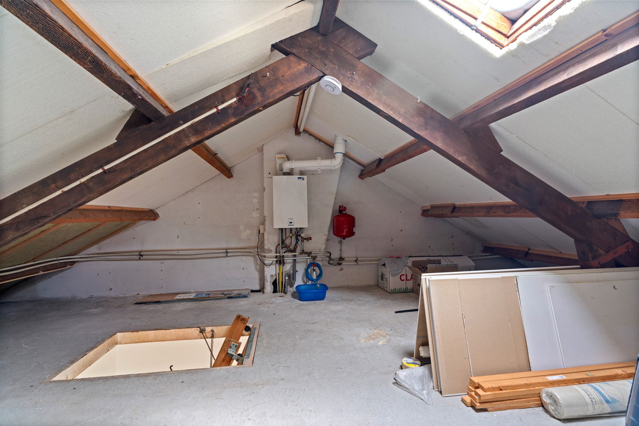 Foto 24 van Treubstraat 16