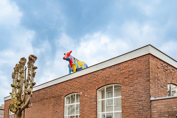 Foto 39 van Walkade 24