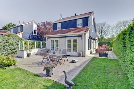 undefined main image