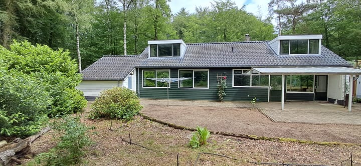 undefined main image