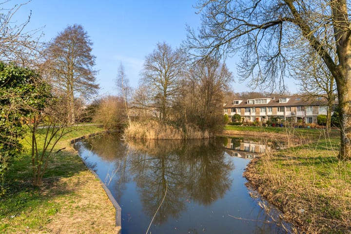 Foto 46 van Strawinskystraat 76