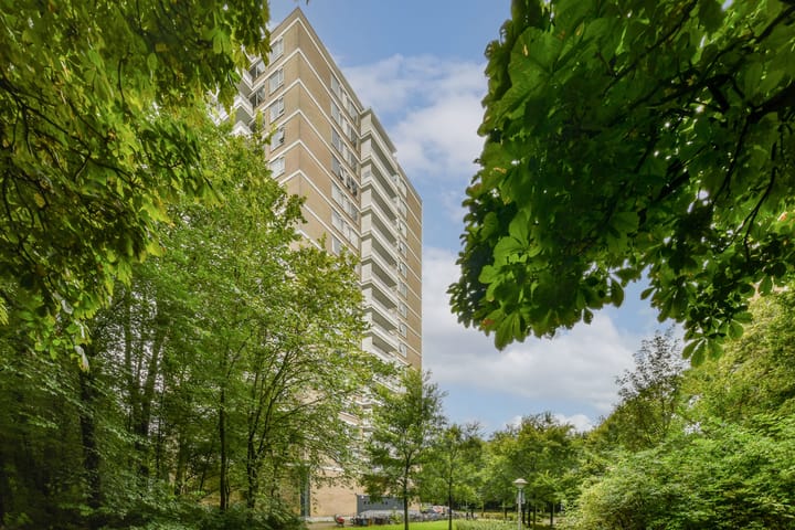 Foto 26 van Nachtwachtlaan 216