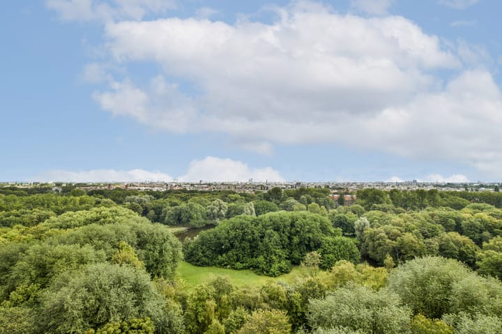 Foto 13 van Nachtwachtlaan 216