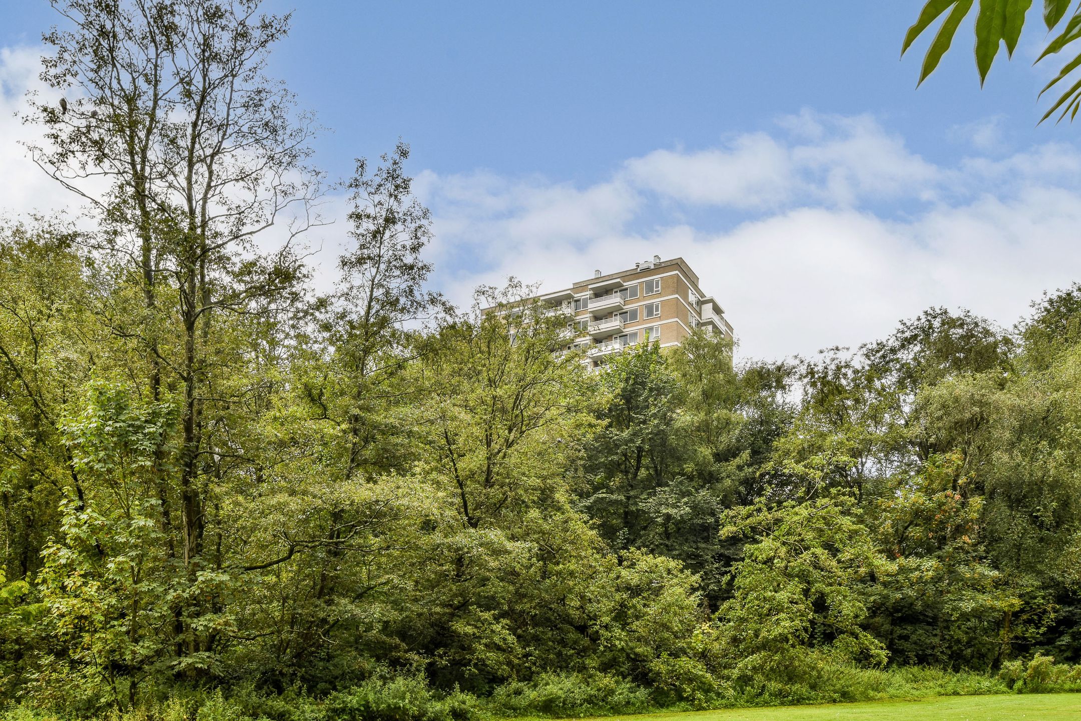 Foto 27 van Nachtwachtlaan 216