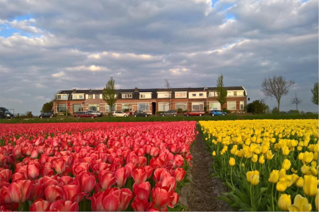 Photo 43 of 1e Loosterweg 92
