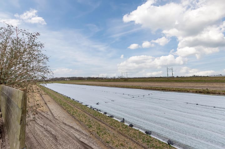 Foto 49 van 1e Loosterweg 92