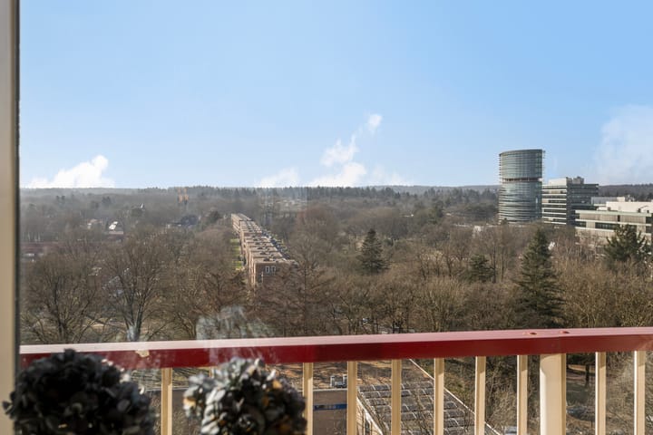 Foto 12 van Henri Dunantlaan 195