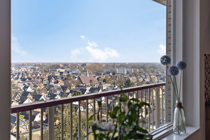 Foto 18 van Henri Dunantlaan 195