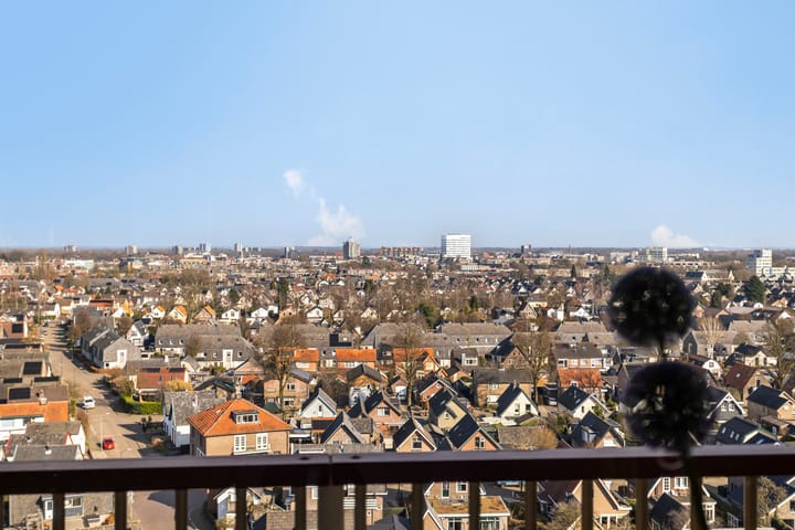 Foto 19 van Henri Dunantlaan 195