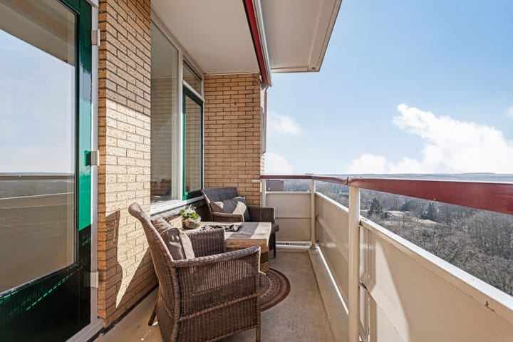 Foto 34 van Henri Dunantlaan 195