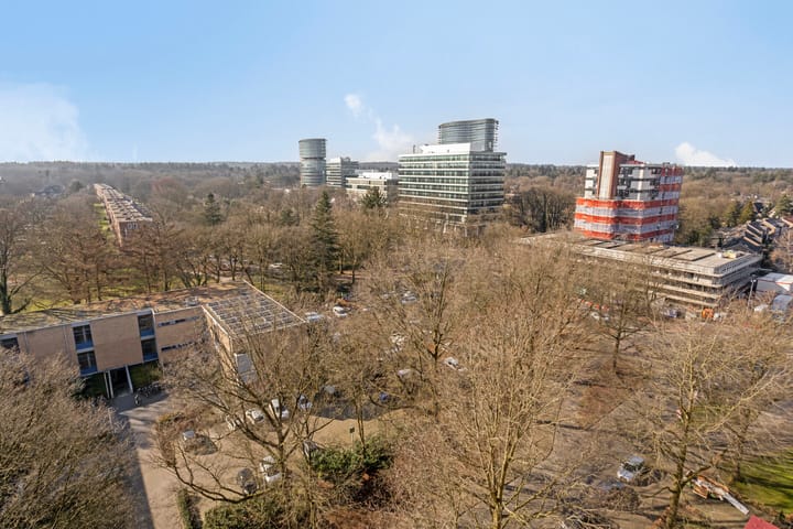 Foto 39 van Henri Dunantlaan 195