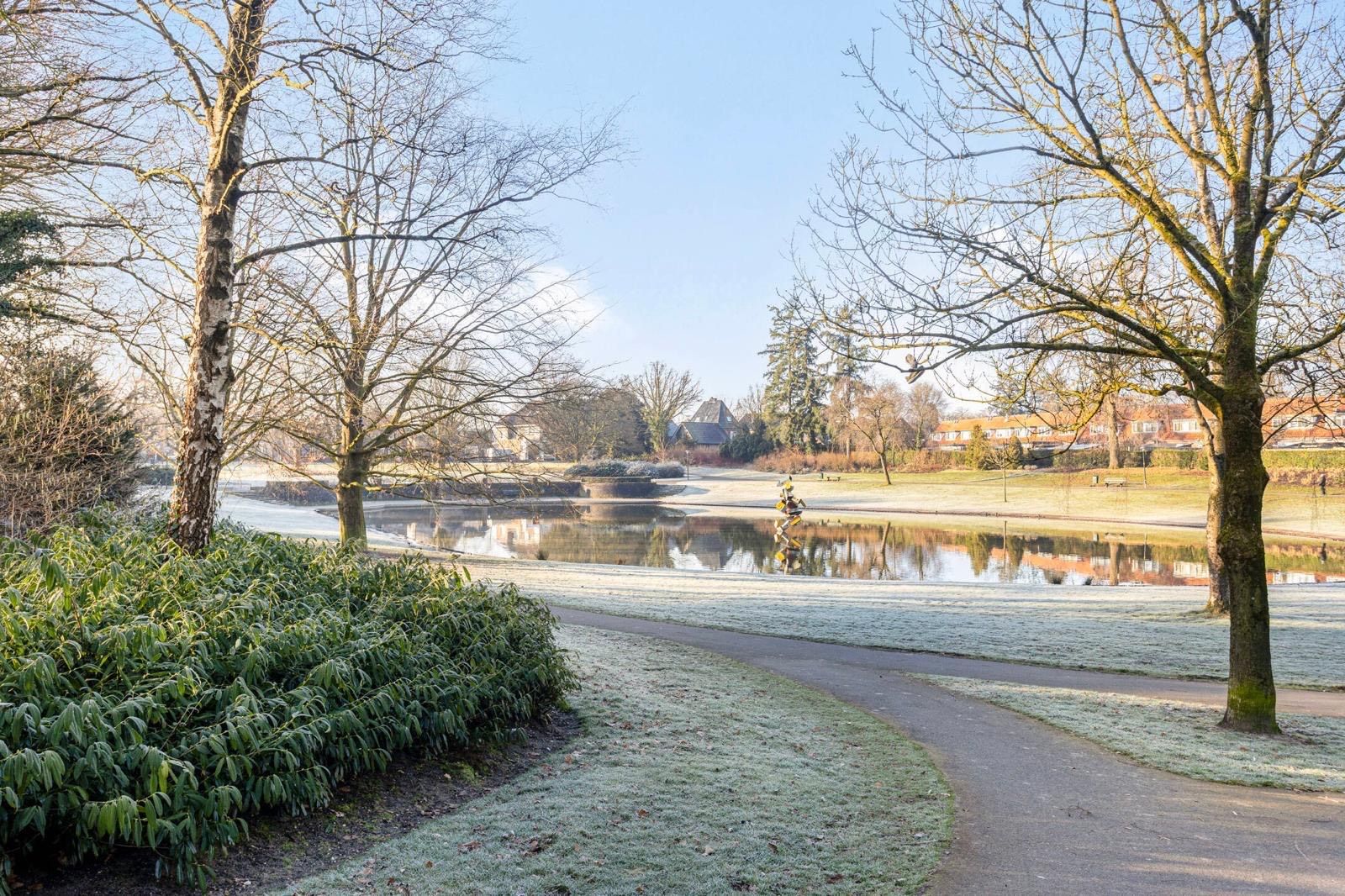 Photo 42 of Henri Dunantlaan 195