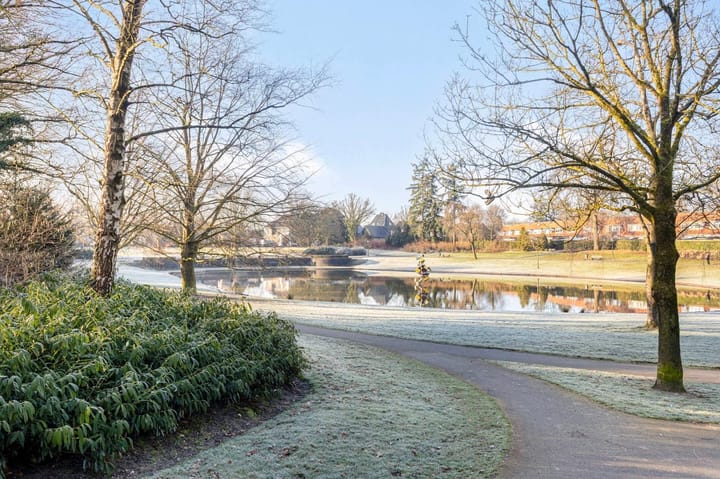 Foto 42 van Henri Dunantlaan 195