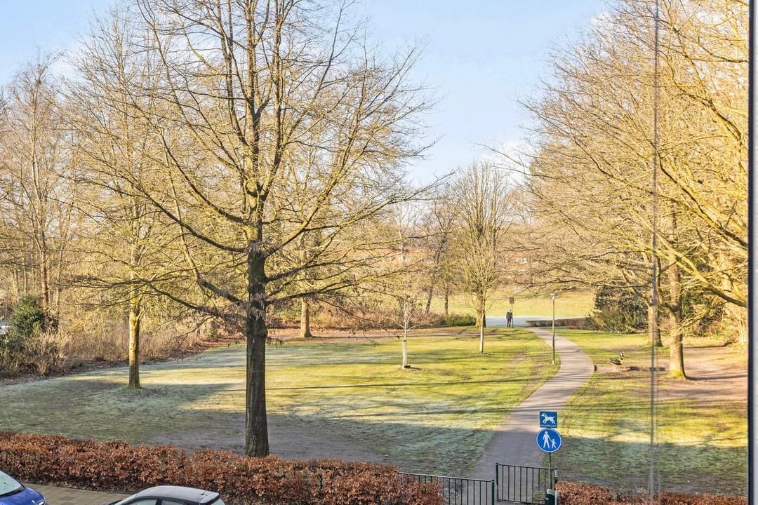 Photo 43 of Henri Dunantlaan 195