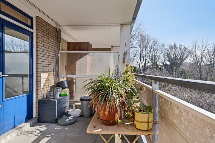 Foto 4 van Boerhaavelaan 221