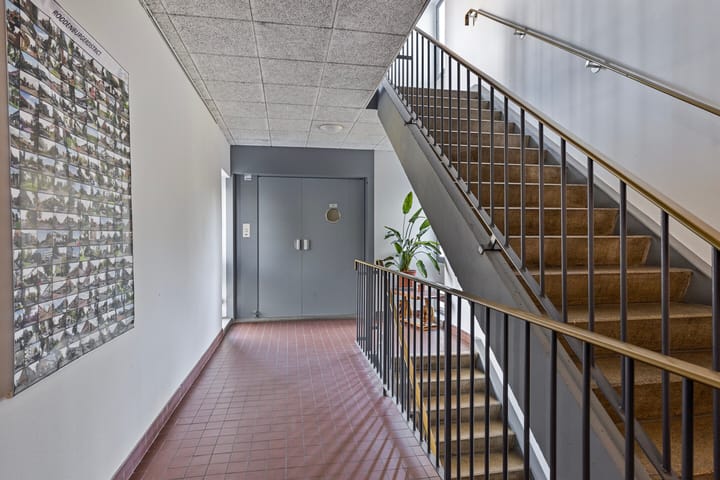 Foto 7 van Boerhaavelaan 221