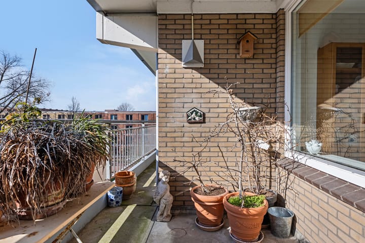 Foto 18 van Boerhaavelaan 221