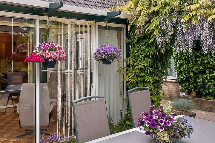 Foto 33 van Baalder 1