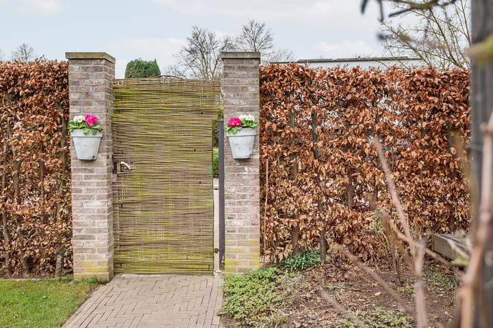 Foto 53 van Brederostraat 10