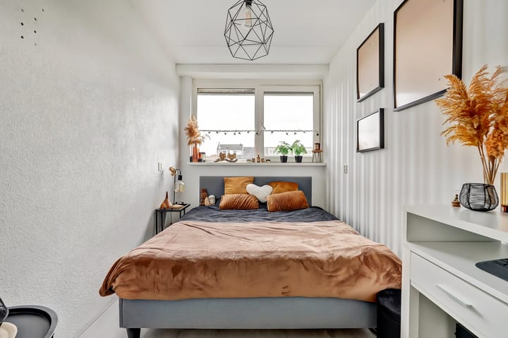 Foto 22 van Halve Morgen 123