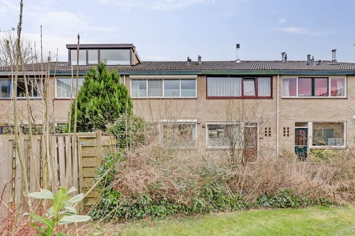 Foto 42 van Halve Morgen 123