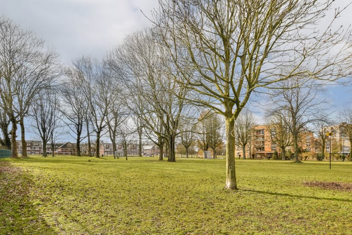 Foto 32 van Willem Pijperstraat 14