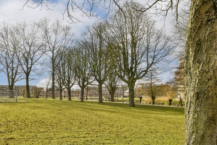 Foto 33 van Willem Pijperstraat 14