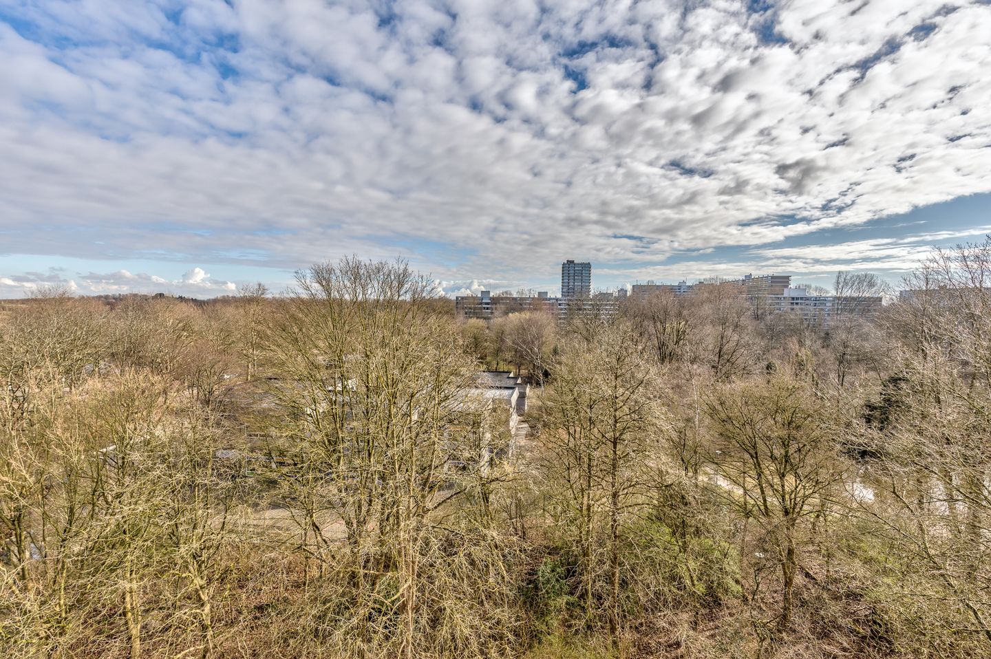 Foto 14 van Curieplaats 355