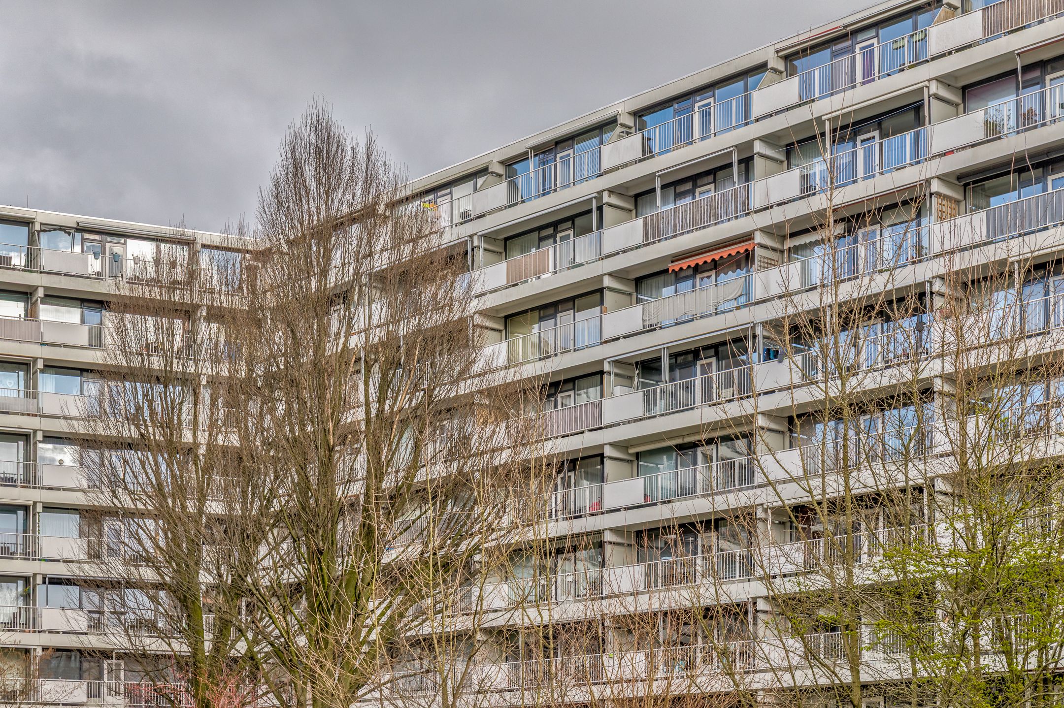 Foto 27 van Curieplaats 355