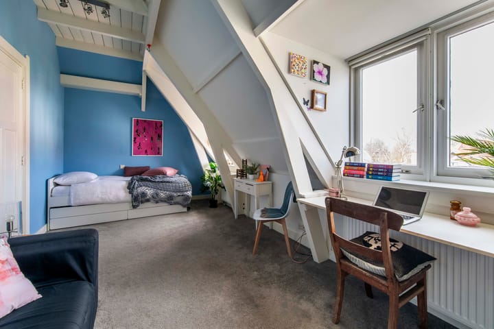 Foto 24 van Mecklenburglaan 12