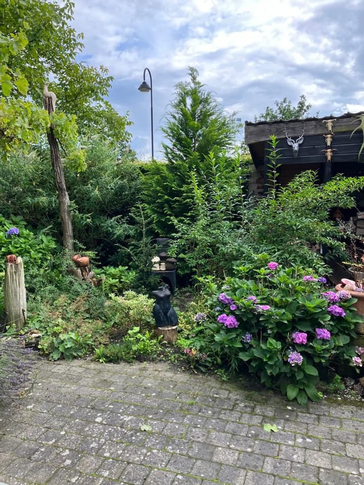 Foto 75 van Kalander 38