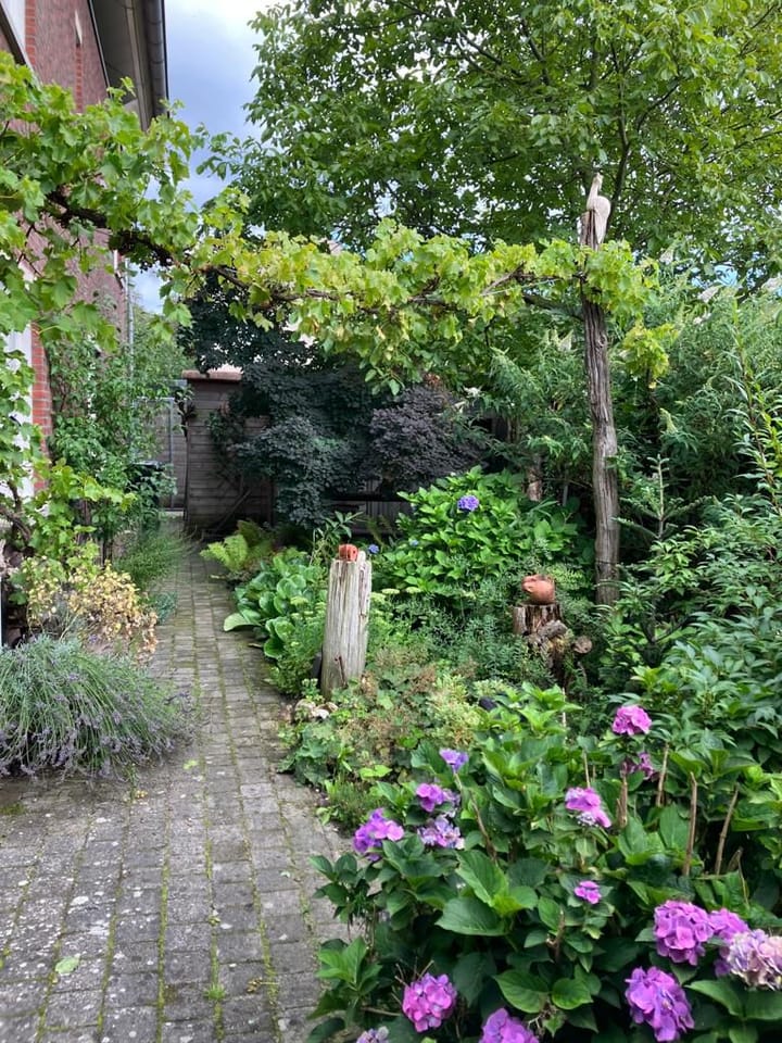 Foto 76 van Kalander 38