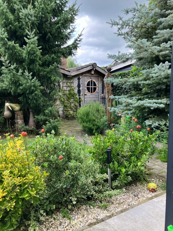 Foto 77 van Kalander 38