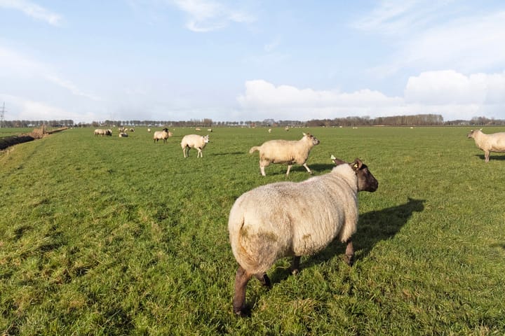 Foto 64 van Jisperweg 112-A