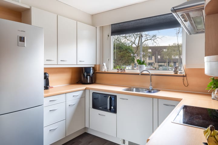 Foto 3 van Ridderspoor 8