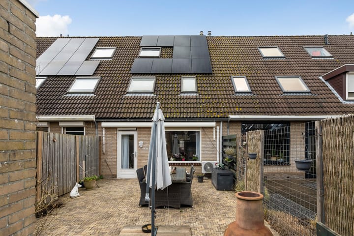 Foto 8 van Ridderspoor 8