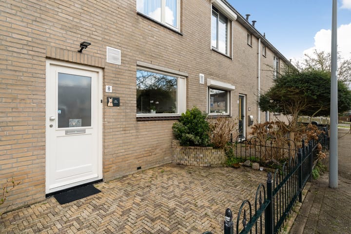 Foto 9 van Ridderspoor 8