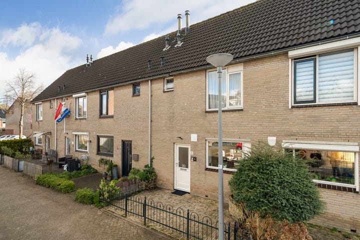 Foto 10 van Ridderspoor 8