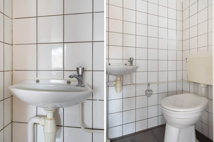 Foto 12 van Ridderspoor 8