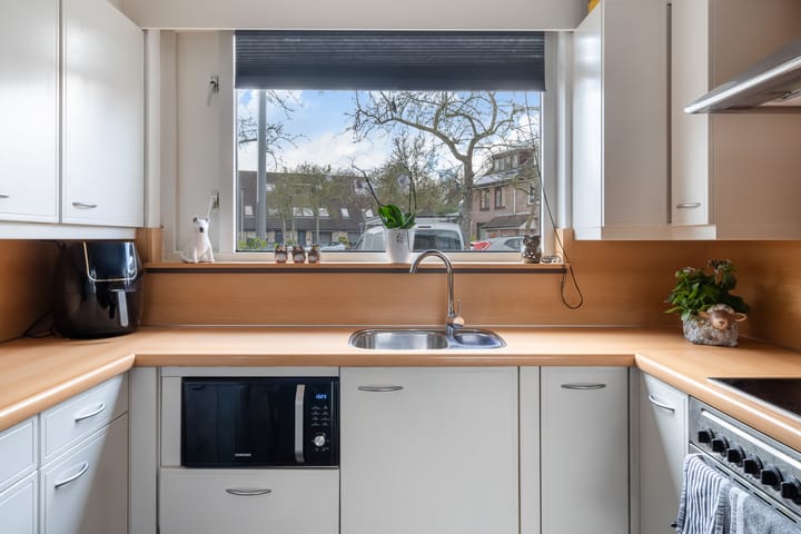 Foto 17 van Ridderspoor 8