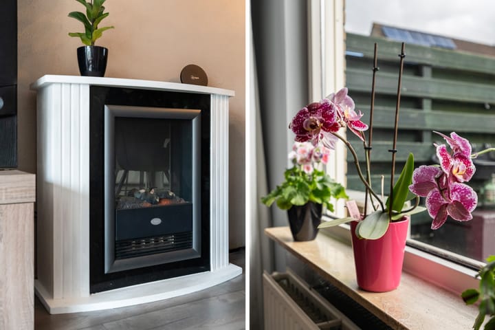 Foto 22 van Ridderspoor 8