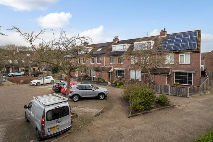 Foto 43 van Ridderspoor 8